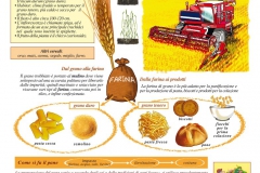 Dal grano al pane