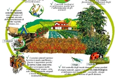 L'agricoltura biologica