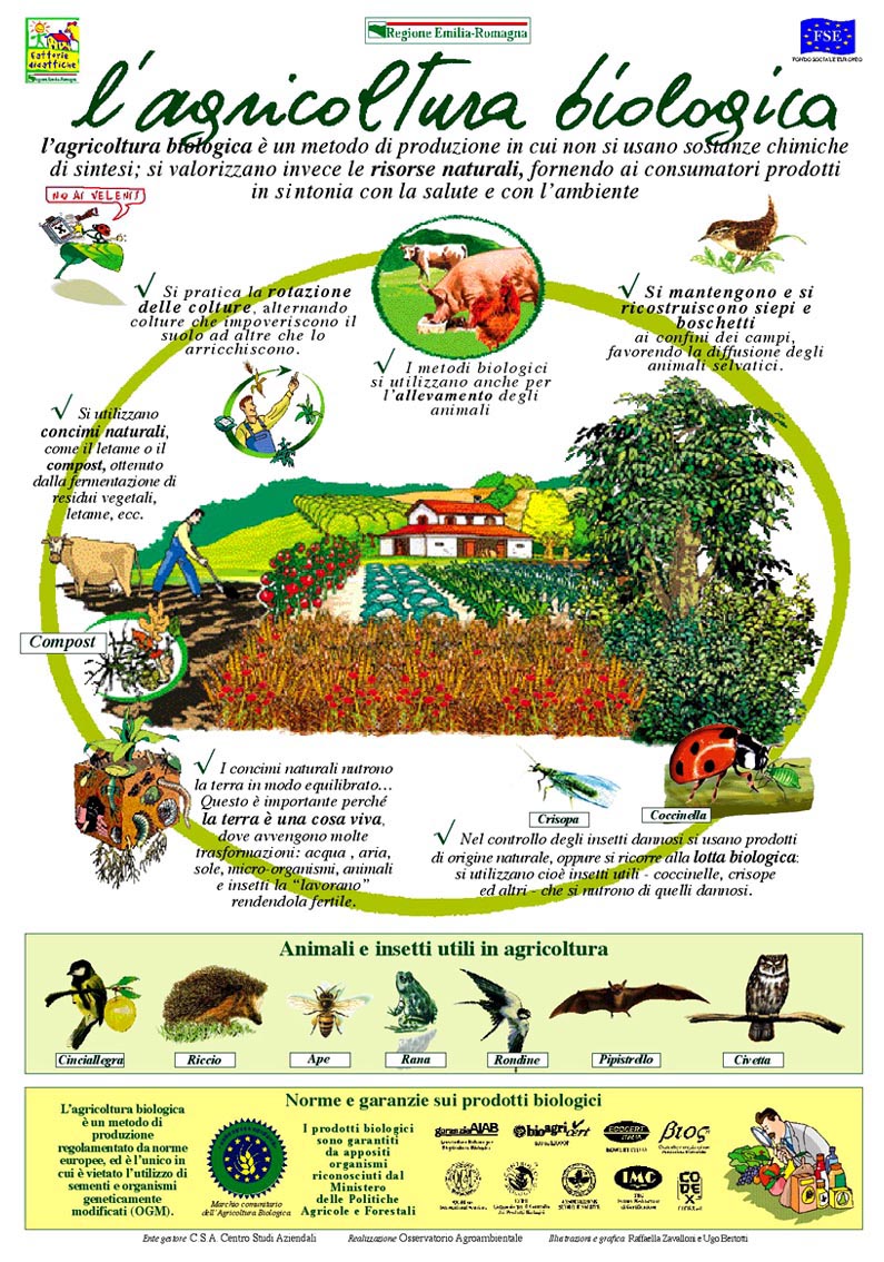 L'agricoltura biologica