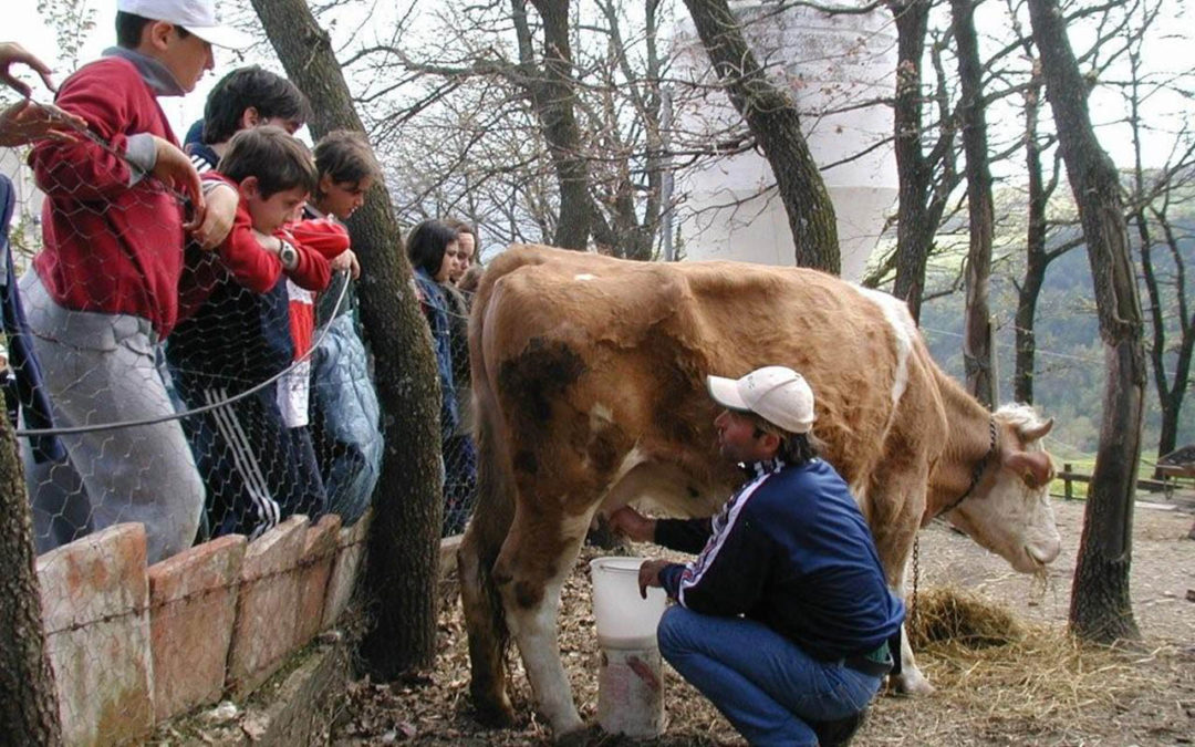 Giornata dell’Alimentazione in Fattoria 2018