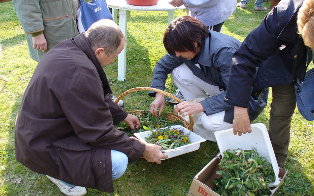 Giornata dell’alimentazione in fattoria 2025
