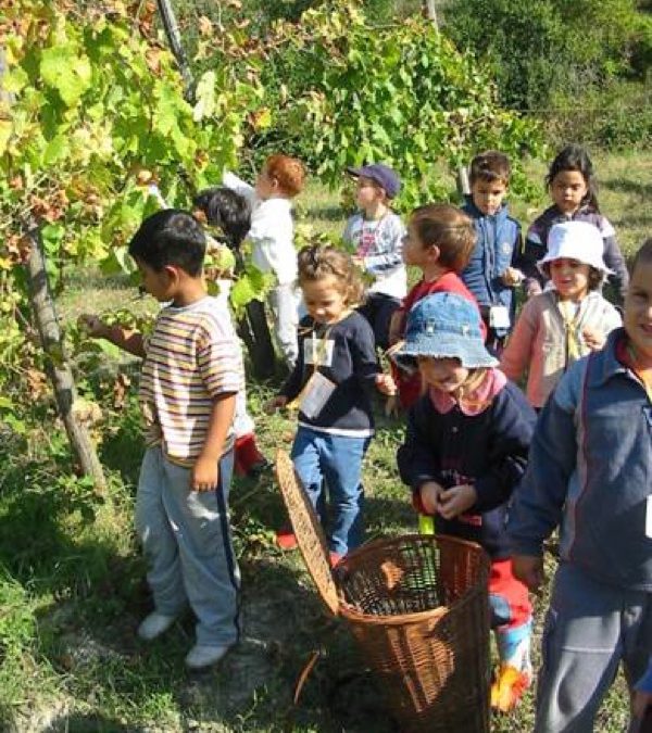 Fattorie Didattiche aperte della Lombardia