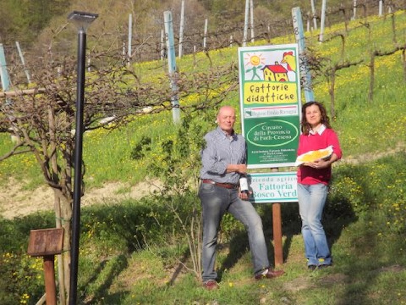 Domeniche in fattoria di primavera