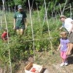 Attività didattiche alla azienda agrituristica 26punto80