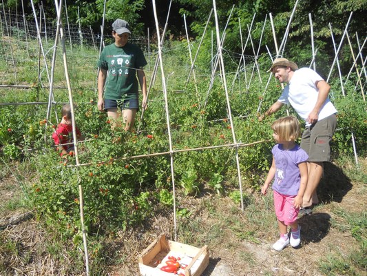 Attività didattiche alla azienda agrituristica 26punto80