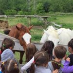 Giornata dell'alimentazione in fattoria