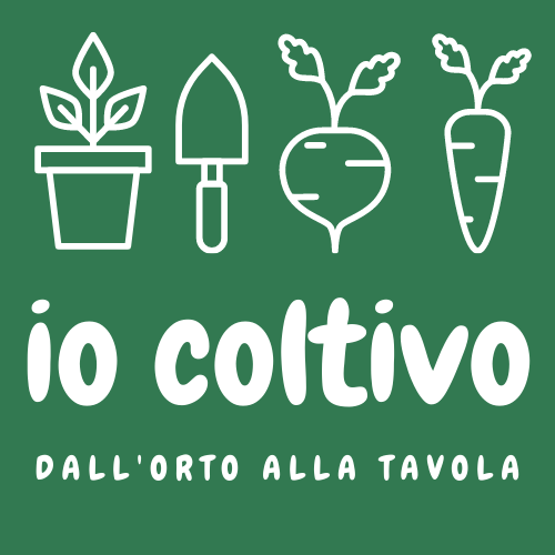 “Io coltivo. Dall’orto alla tavola”, al via il progetto per le scuole secondarie di I grado dell’Emilia-Romagna